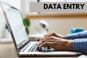 Portfolio for Data Entry | Data Processing