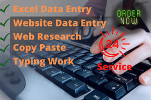 Portfolio for Data Entry, Data Collection, Typing Work