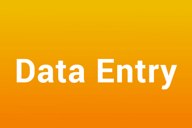 Portfolio for Excel Data Entry | Google Sheet